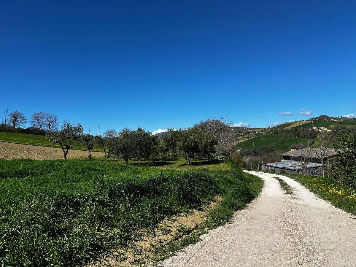 Rustico - Sant'Angelo in Pontano - Vista 4