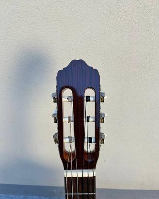 Chitarra  🎸 marca ECHO