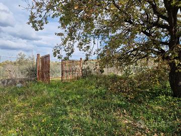 Terreno commerciale c.da Porticatazzo