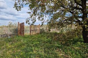 Terreno commerciale c.da Porticatazzo