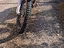 Immagine 5