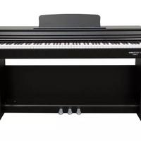 ECHORD DPX100 Satin Black B-Stock