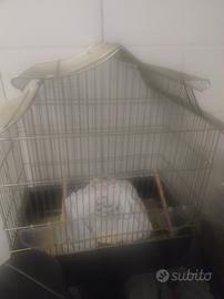 gabbia per uccelli 