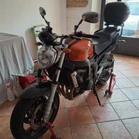 Yamaha FZ6 - 2006