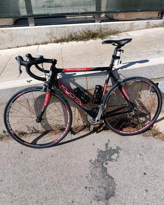 bici da corsa kuota