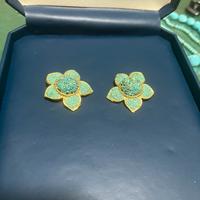 Splendidi orecchini turchese naturale