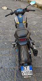 Benelli leoncino 250