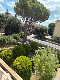 Borgo medievale dí Cetona