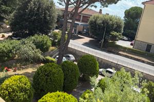 Borgo medievale dí Cetona