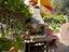 Immagine 18