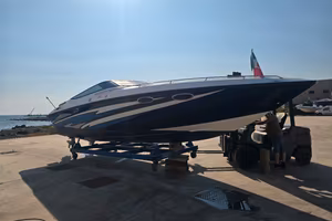 Baja 290