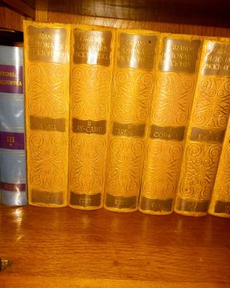 Grande Dizionario Enciclopedico