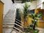 Immagine 19