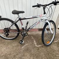 Bici