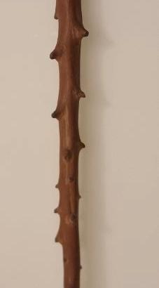 Antico bastone rustico in legno naturale fine ’800