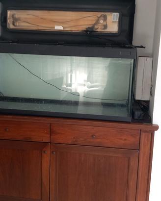 acquario grande funzionante