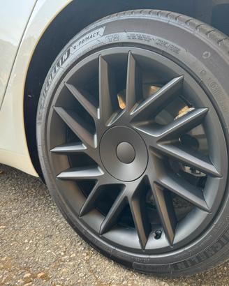 Copricerchi Tesla M3 Highland 18