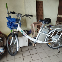 Bici elettrica