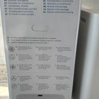 climatizzatore portatile 