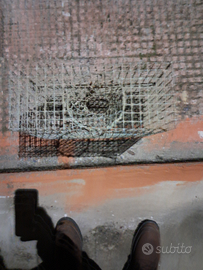 Nasse per pannocchie