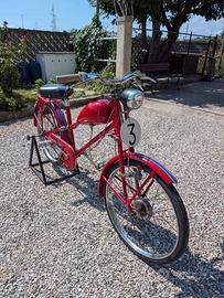 Velomosquito sportivo