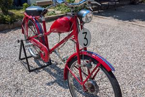 Velomosquito sportivo
