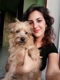 Impiegata amministrativa