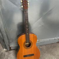 Chitarra Eko + Custodia Omaggio