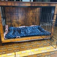 Cuccia per cani taglia media