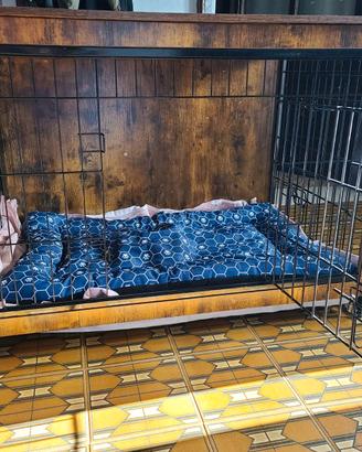 Cuccia per cani taglia media