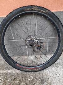 Cerchio 29 pollici sincrox alexrims