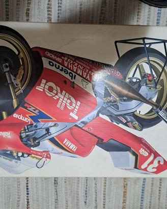 yamaha tz 250 m