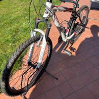 Bici (leggere descrizione)