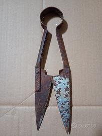 Antiche Forbici Cesoie Tosatura Pecore  Collezione