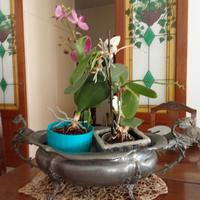 oggetti peltro anni 50