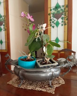 oggetti peltro anni 50