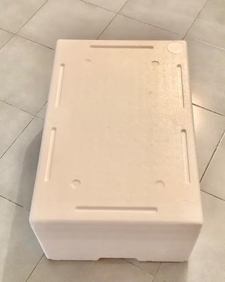 Scatole Termiche in Polistirolo Nuove