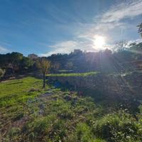 Terreno per coltivazione e alberi da frutto