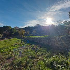 Terreno per coltivazione e alberi da frutto