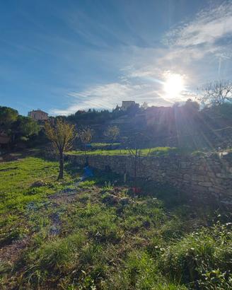 Terreno per coltivazione e alberi da frutto