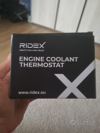 Termostato Ford C-max