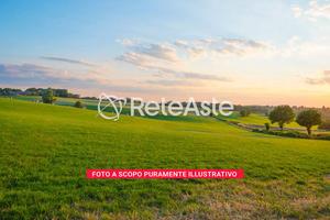 Terreno agricolo vicino al fiume Calore – Apice (B
