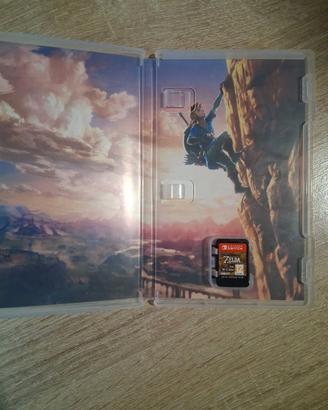 Gioco Nintendo switch