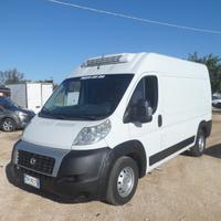 Fiat Ducato frigo coibentato medio alto