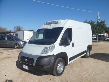 Fiat Ducato frigo coibentato medio alto