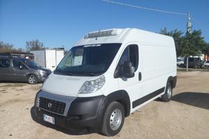Fiat Ducato frigo coibentato medio alto