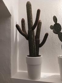 cactus sintetico 