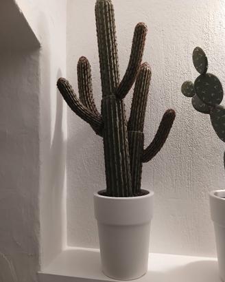 cactus sintetico 