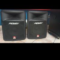 casse amplificate peavey tenute maniacalmente 