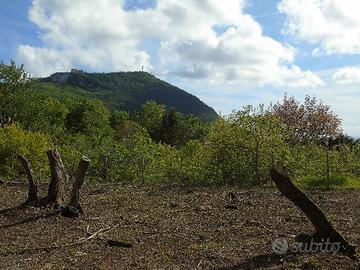 Terreno a Maratea PZ
